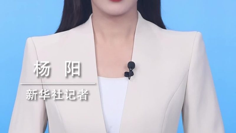 低代码平台代理加盟，如何把握行业脉搏与政策红利？**